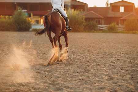 Woman rider jockey riding galloping horse racing at sandの写真素材