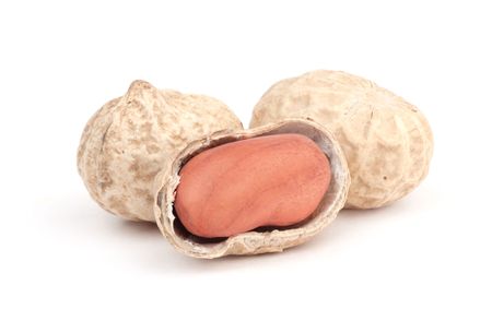 Beutiful issolated peanut on white background