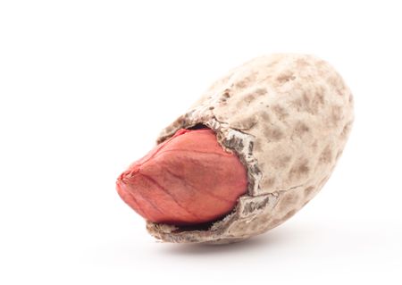 Beutiful issolated peanut on white background