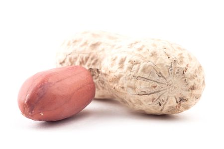 Beutiful issolated peanut on white backgroundの写真素材