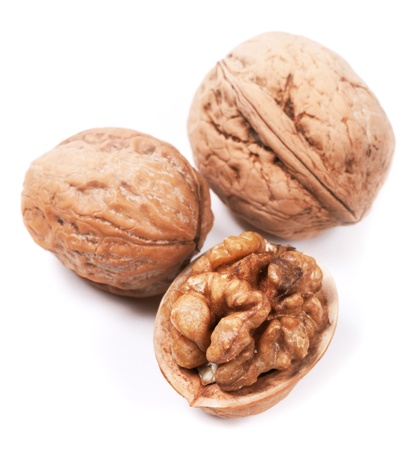 Walnutの写真素材