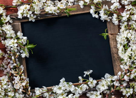 Old blank vintage school slate or chalkboard lying on an old rustic wooden background with dainty white flowers in two corners ready for your text or messageの写真素材