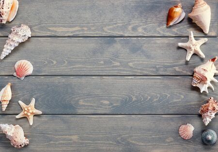 Sea and marine items such as seashells on wooden background.