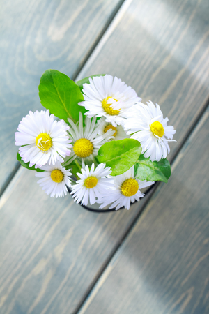 Bouquet chamomiles on a vintage wooden tableの写真素材