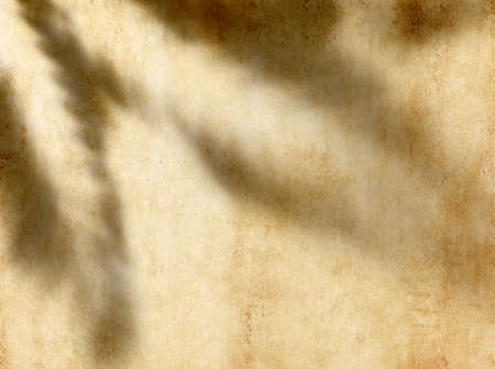 Abstract natural leaves shadows background on beige color wall texture