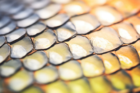 close-up of alligator scales in sunlightの素材