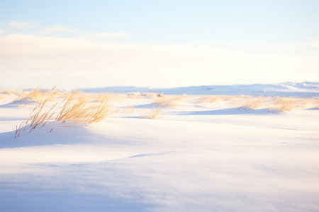 snowdrifts shaping dunes in open fieldの素材