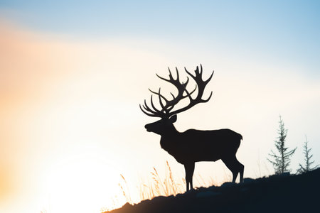 solitary caribou silhouette at sunsetの素材