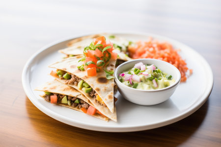 beef quesadilla with pico de gallo on topの素材