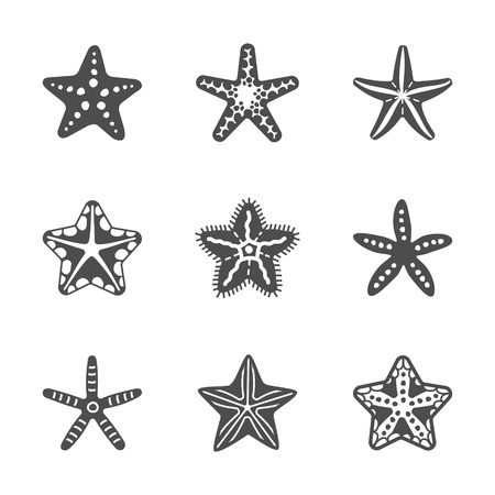 Shape set of various sea starfish. Vector illustrationのイラスト素材