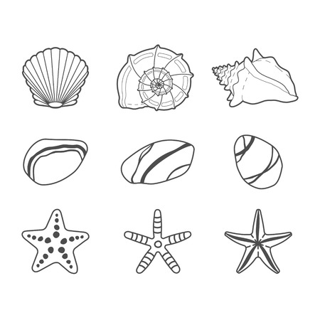 Sea shells, stars and stones vector icon set isolated on a white backgroundのイラスト素材