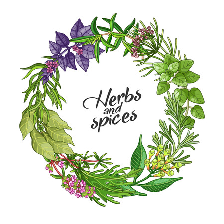 Vector circle wreath template with spices and herbs. Decorative colorful composition with type designのイラスト素材