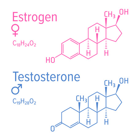 Estrogen and testosteron vector chemical formulas. Male and female steroid hormones. Chemical molecular formula.のイラスト素材