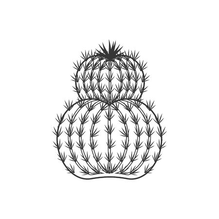 Outline cactus and succulent plant vector illustration. Decorative isolated icon. Cartoon style doodle.のイラスト素材