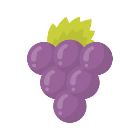 Cute grape fruit, isolated colorful vector icon. Bright single fruit illustrationのイラスト素材