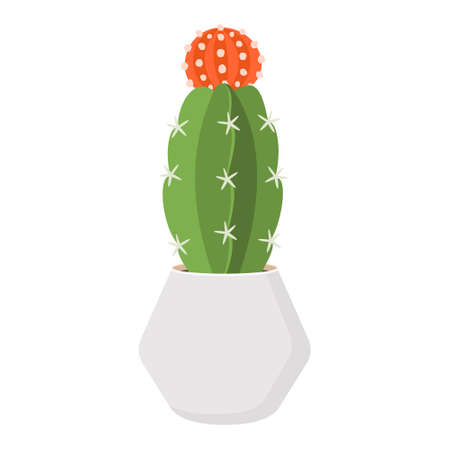 Cactus and succulent in pot domestic colorful cartoon vector illustration. Decorative flower plant. Isolated icon cactiのイラスト素材
