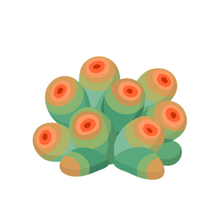Cactus and succulent colorful cartoon vector illustrationのイラスト素材