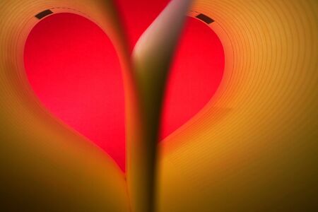 Broken heartの写真素材