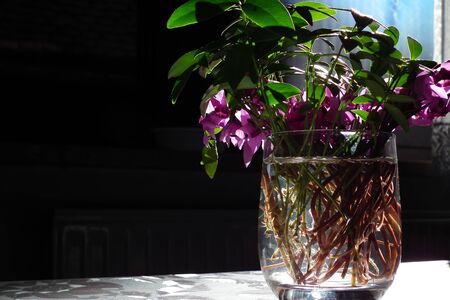 Flowers in vase on a tableの写真素材