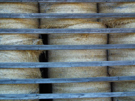 Barley bale in shelterの写真素材