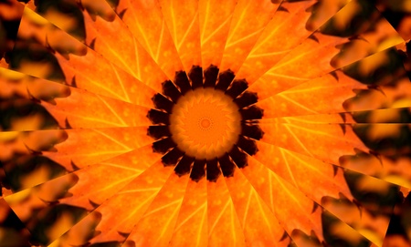 Umbrella maked from orange leavesの写真素材