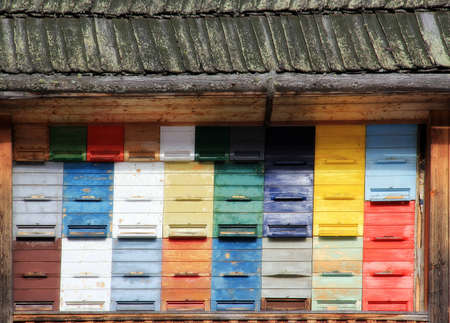 An old apiary on sunny winter day の写真素材