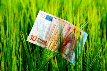 Paper money on green youngbarley field の写真素材