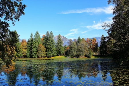 Autumn park with lake and lotuses 
