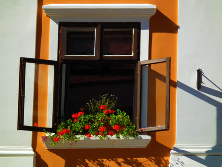 Window with red geraniums on a white wall in sunny day