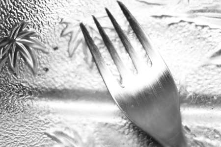 Fork on the background of the window. Black and white photo.の写真素材