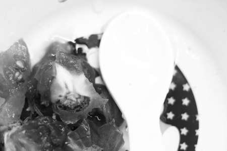 Food in a white bowl with a spoon. Black and whiteの写真素材