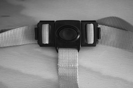 Black and white photo of a safety belt on a white background.の写真素材
