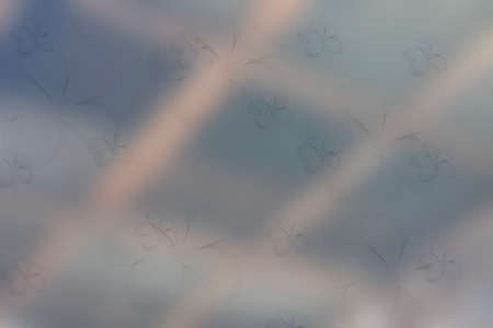 Wallpapers frangipani Mixed with brown background