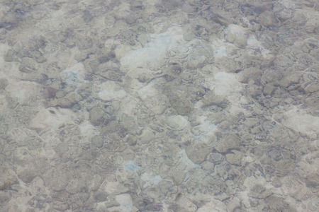 Sea water until you see the rocks and shells  Fossils below