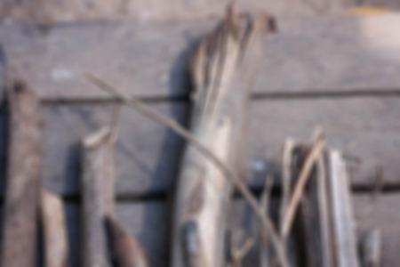 Bark blurred backgroundの写真素材