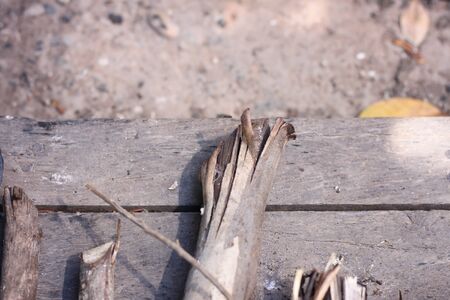 Dried bark of gray, dead trees.の写真素材