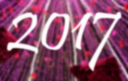 happy new year 2017 with bokeh
