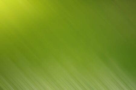 Green background  abstract natureの写真素材