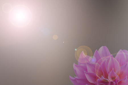 Pink flower  abstract smooth blur lens flare backgroundの写真素材