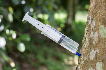 Treatment diseases of plant with chemecal injection into the stemの写真素材