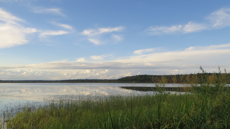 Lake in Russian near finnish border, forest and plantsの写真素材