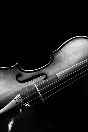 violin & beautiful rim light showing classic shape, isolated on black. black and whiteの写真素材