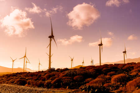 Landscape with wind turbines that produce electricity by rotating in the wind. Wind farm eco field. Eolic park with sky and clouds in the background. Green, ecological and power energy generation concept.の写真素材