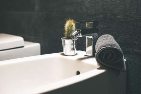 Closeup view of a bidet with towel, soap dispenser and a cactus. Modern environment bathroom fixtures with steel faucet. Cleanliness, health, recycling, pollution, cleaning, ethics and hygiene conceptの写真素材