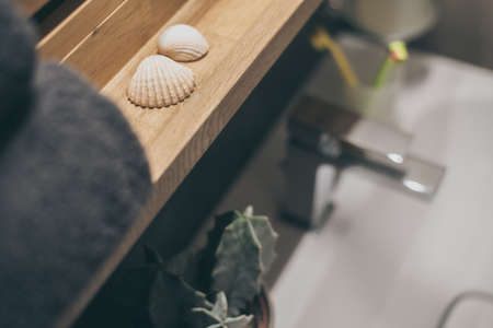 Closeup view of two shells, towels, sink, toothbrush and soap dispenser. Modern environment bathroom fixtures, steel faucet. Cleanliness, health, recycling pollution, cleaning, ethics, hygiene conceptの写真素材