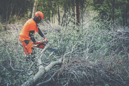 Man holding a chainsaw and cut trees. Lumberjack at work wears orange personal protective equipment. Gardener working outdoor in the forest. Security professionalism occupation forestry worker conceptの写真素材
