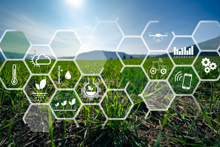 New technology, agriculture management for smart farm system. Green innovation, sustainable crops
