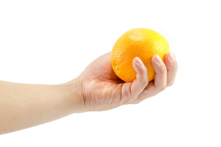 Hand holding orange on white backgroundの写真素材