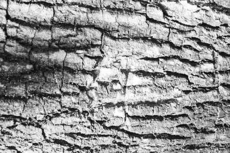 textureの写真素材