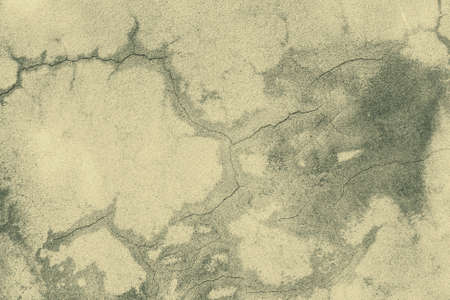 textureの写真素材